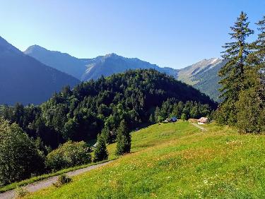 L&apos;attrait de la nouveauté !