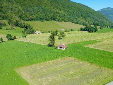 L&apos;attrait de la nouveauté !