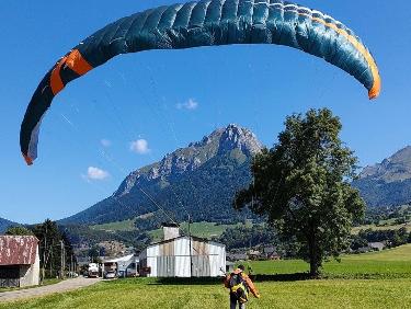 L&apos;attrait de la nouveauté !