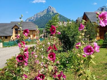 L&apos;attrait de la nouveauté !