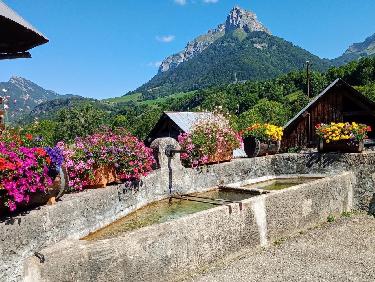 L&apos;attrait de la nouveauté !