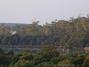 L&apos;Ã©tang de Diane est le domaine des oiseaux.