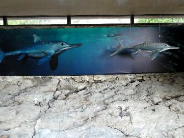 lchtyosaures reconstituÃ©s