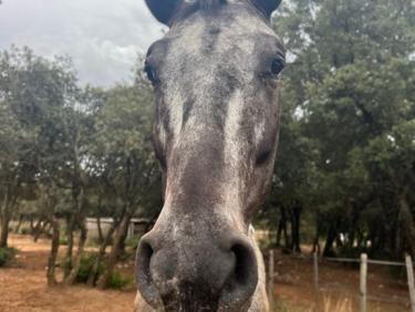 Quand ça veut pas ! Ça veut pas —- 8000 D+ trail et 20 000 toutes activités quand même validés!
