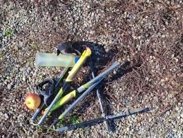 🪂Pause méridienne