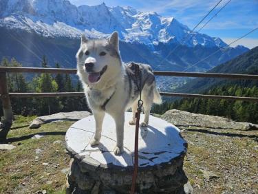 Montée au ravito de la Flegere