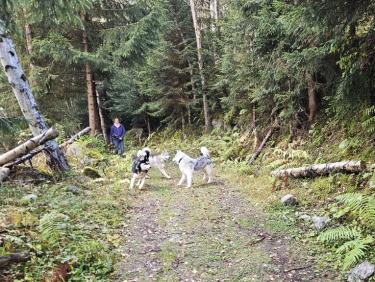 Rencontre avec les "deux glaciers" (Amarok et Alaska)