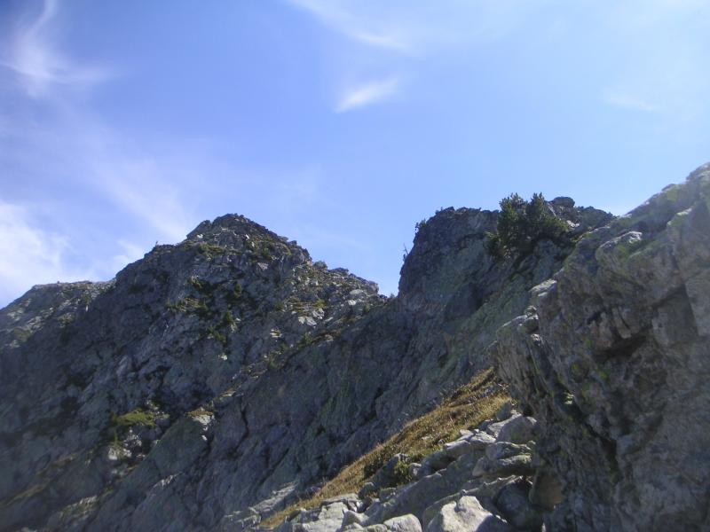 l'arête