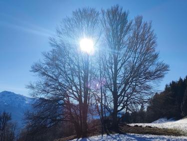 L&apos;homme qui sentait bon !
