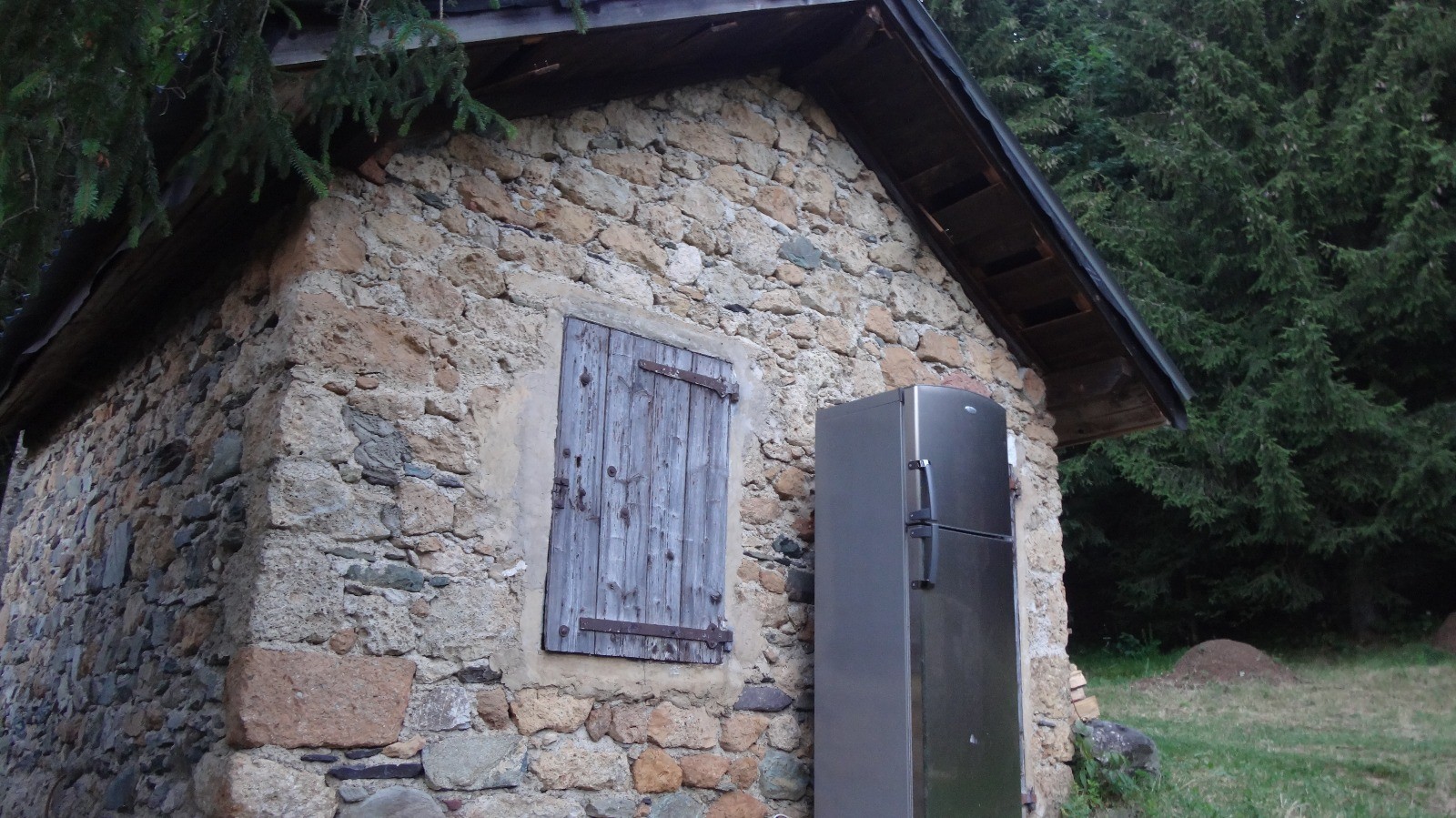 la bergère et ses patous