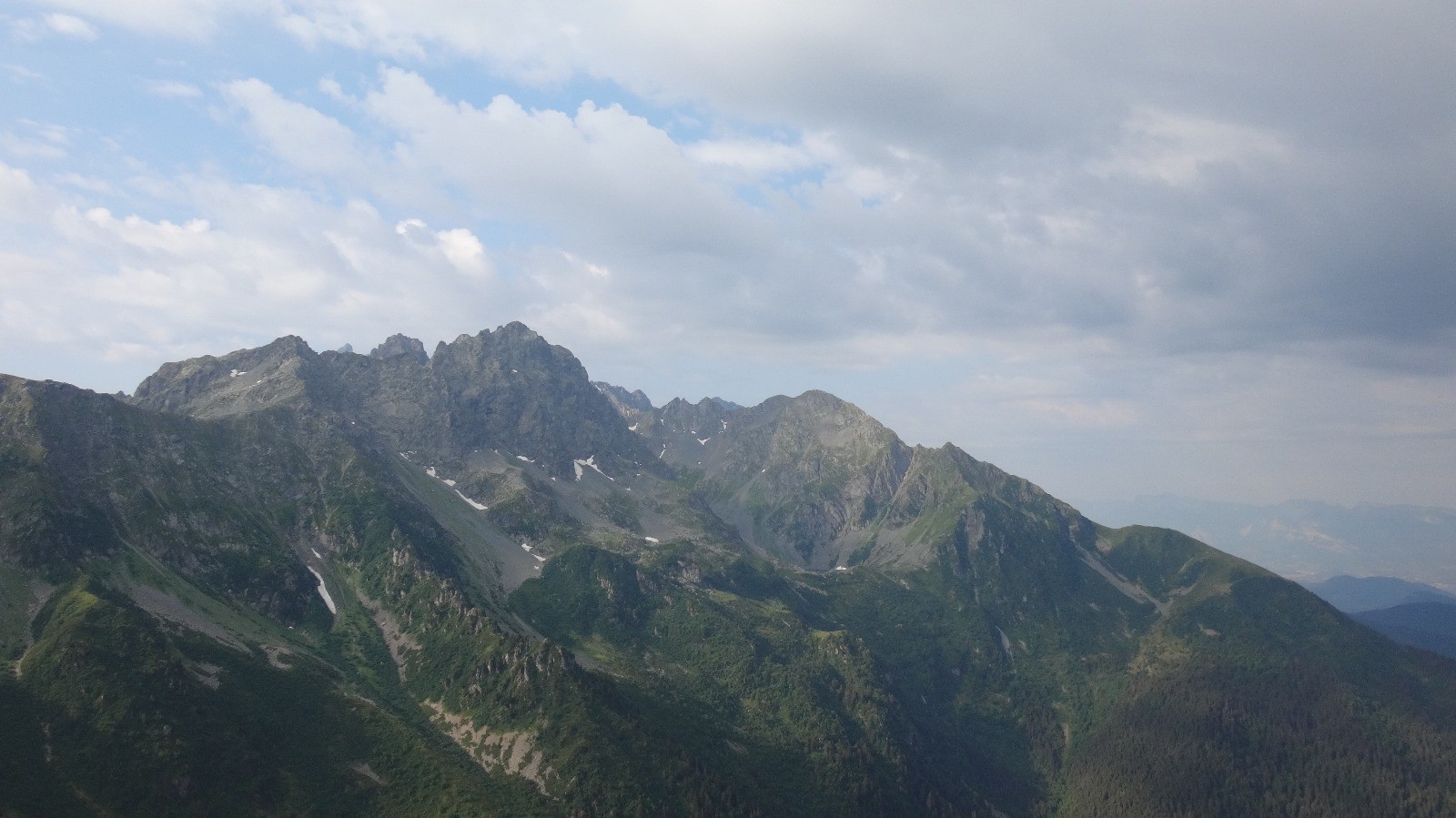 la bergère et ses patous