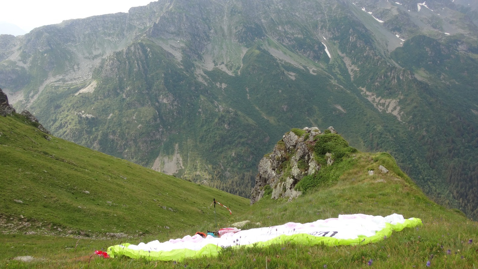 la bergère et ses patous