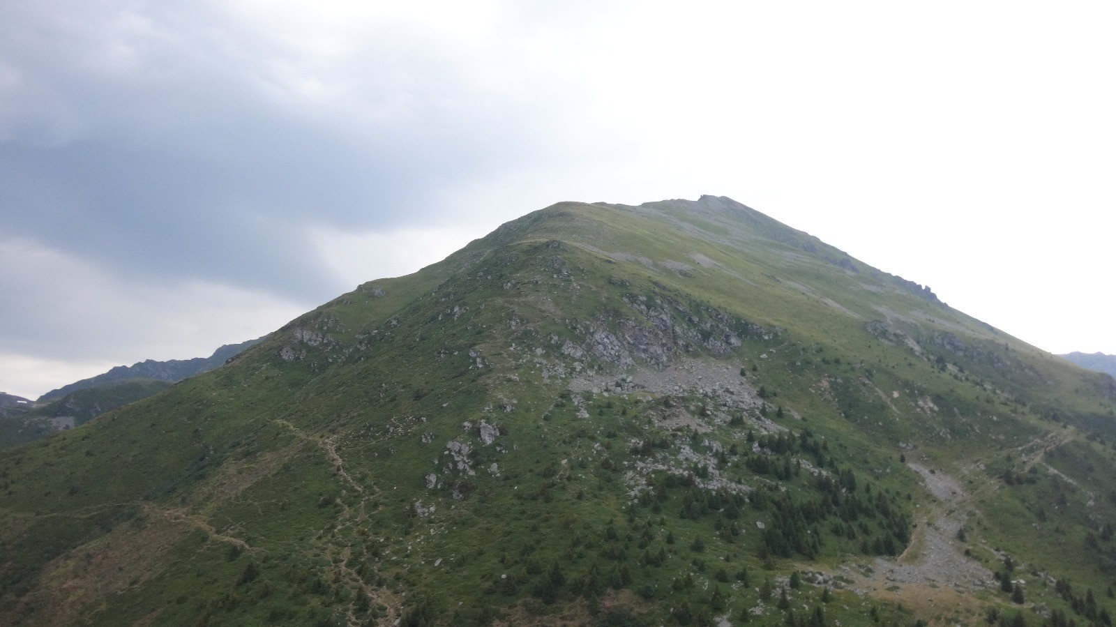 la bergère et ses patous