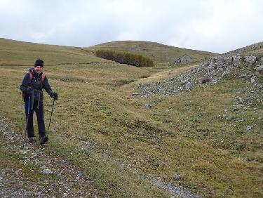 La bergerie de Chine