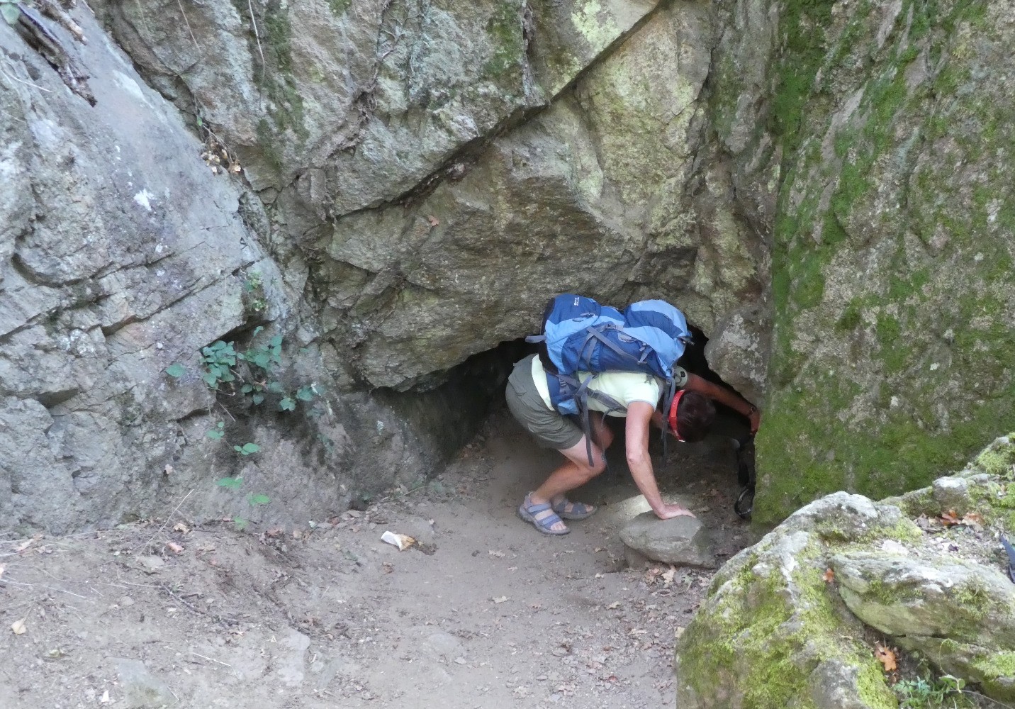 La cave du curÃ© : entrÃ©e