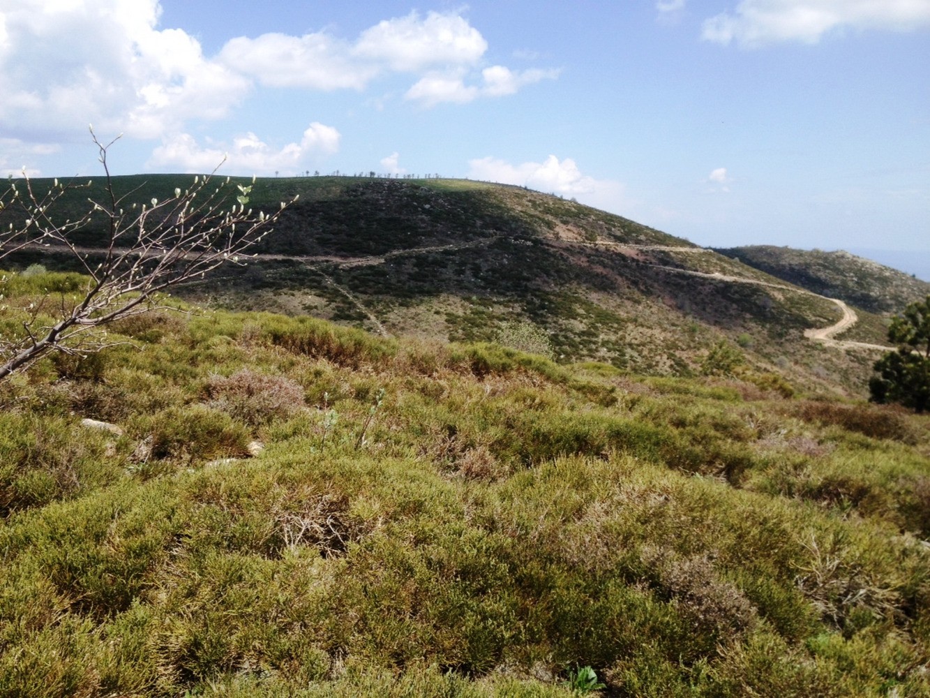 La Cham du Cros dans le rÃ©tro