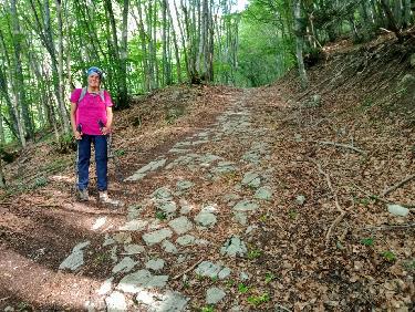 La chasse est ouverte