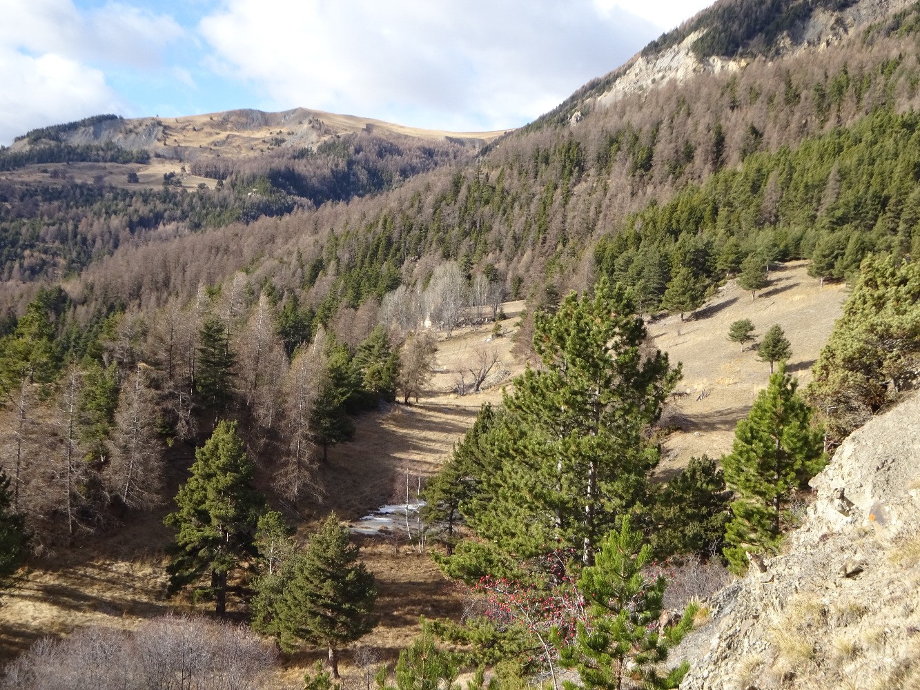 La combe et l'Ã©tang de Rousson
