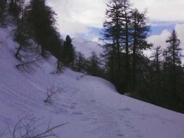 La CrÃªte des Rougnous au fond ; je pars en traversÃ©e -raccourci , derriÃ¨re moi