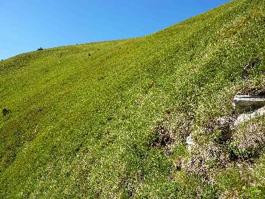 La crÃªte n&apos;est plus loin, maintenant