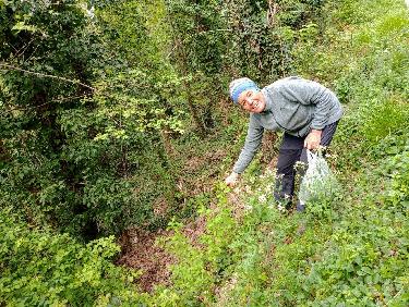 La cueillette de simples