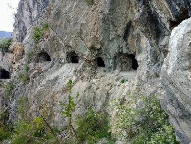 La cueillette de simples