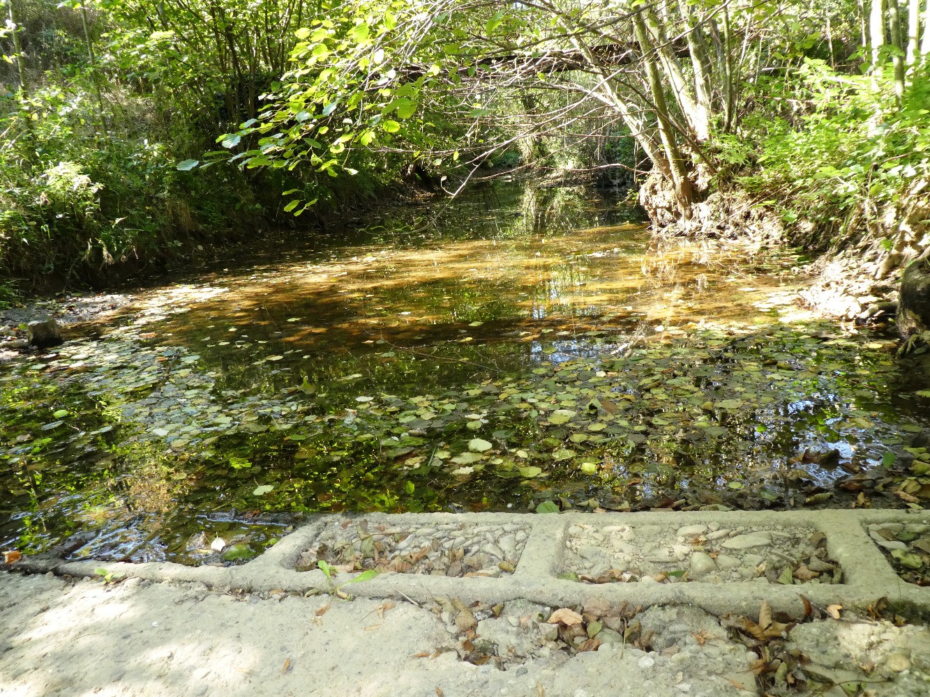 La DurÃ¨ze