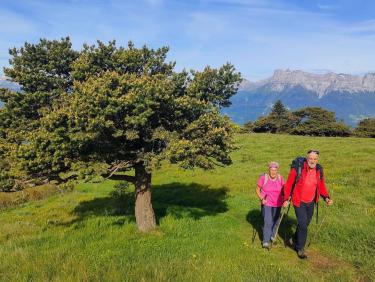 La fête des mères n’attend pas 