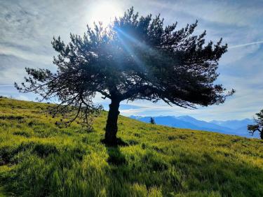 La fête des mères n’attend pas 