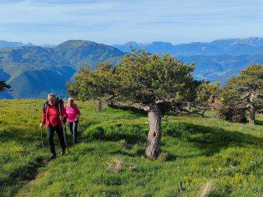 La fête des mères n’attend pas 