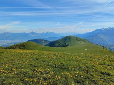 La fête des mères n’attend pas 
