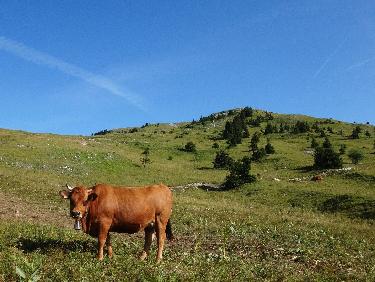 la gardienne des lieux