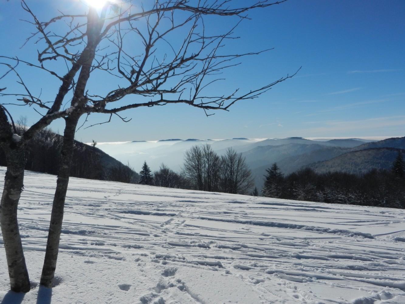 La ligne bleue des Vosges