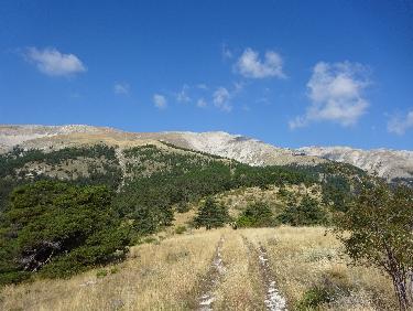 La montagne du Cheval Blanc vue du sud-est au-dessus de favier