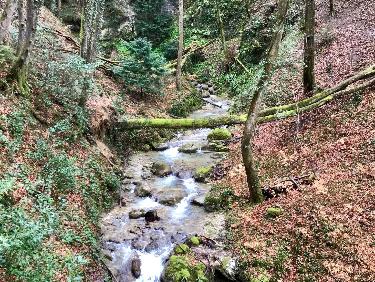 La musique de la montagne 
