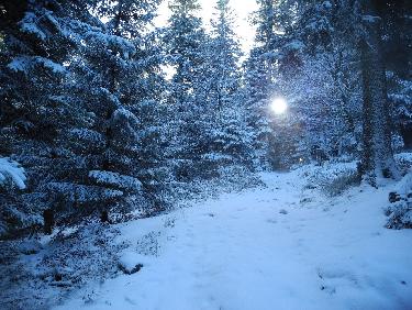 le soleil n&apos;est plus bien loin