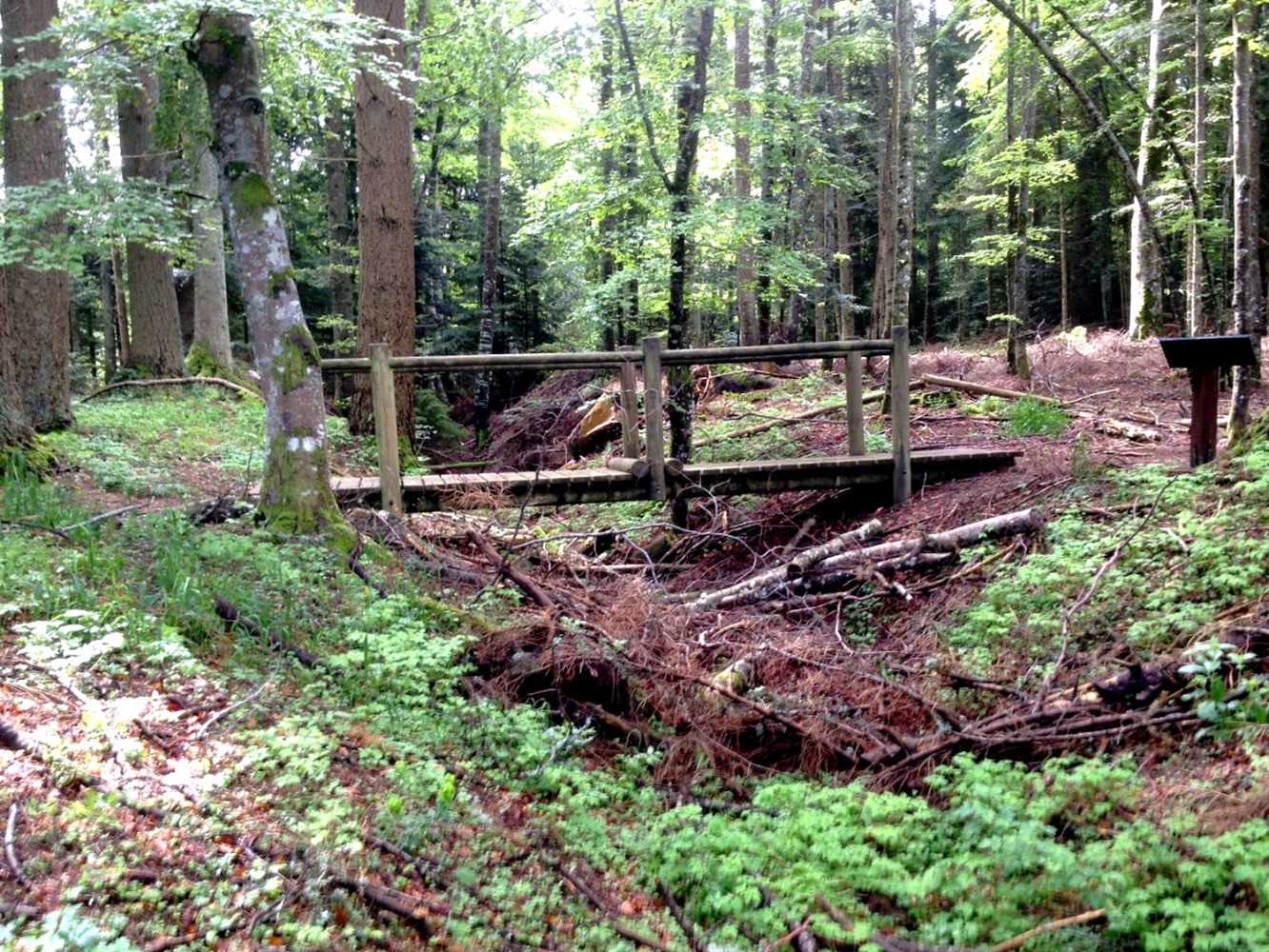 la passerelle sur le fossÃ© de drainage