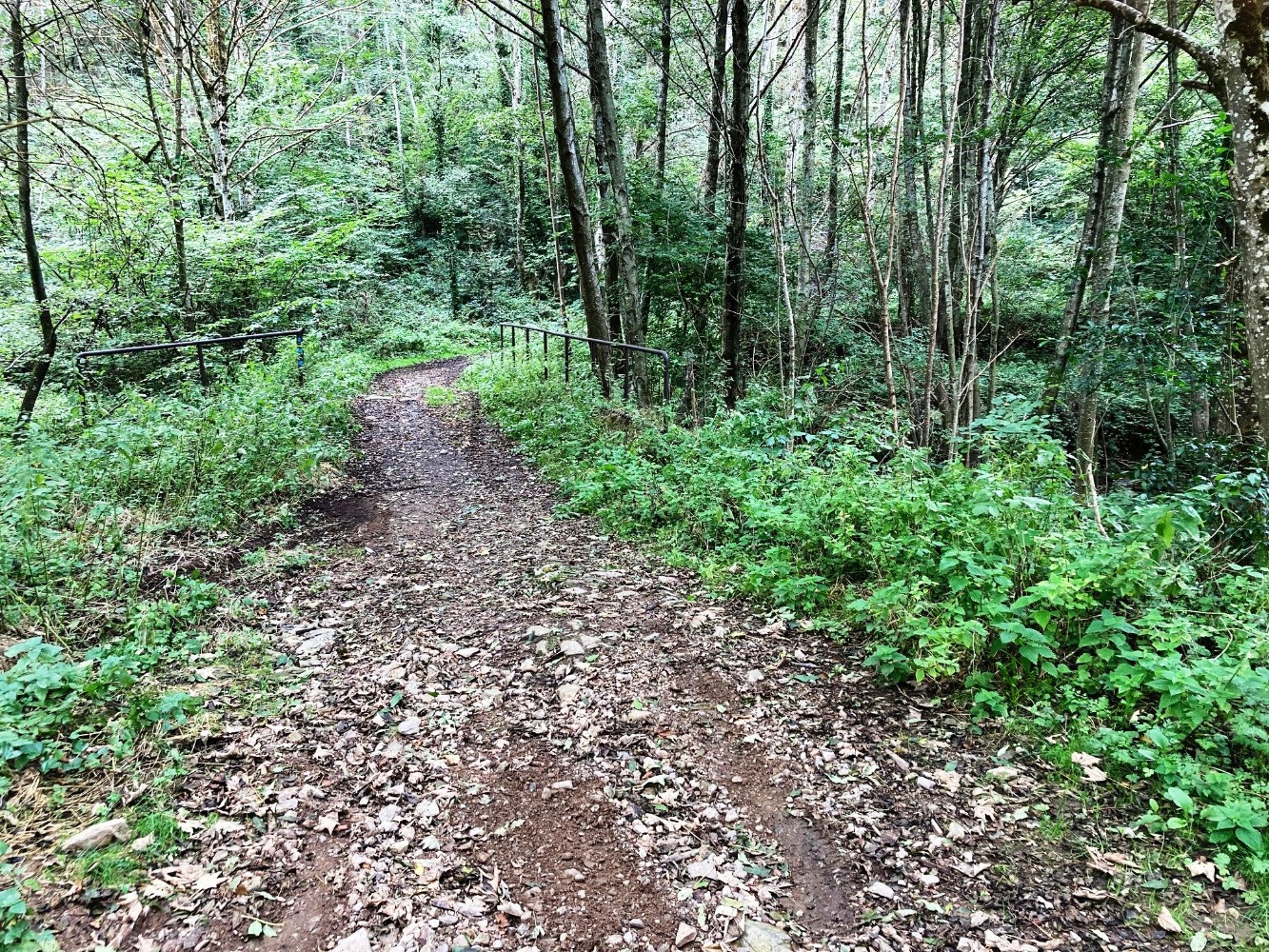 La passerelle sur le Gier