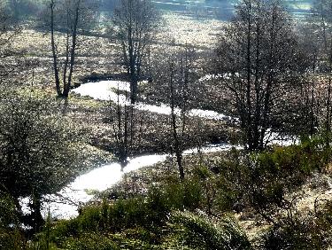 la SemÃ¨ne en amont du lac