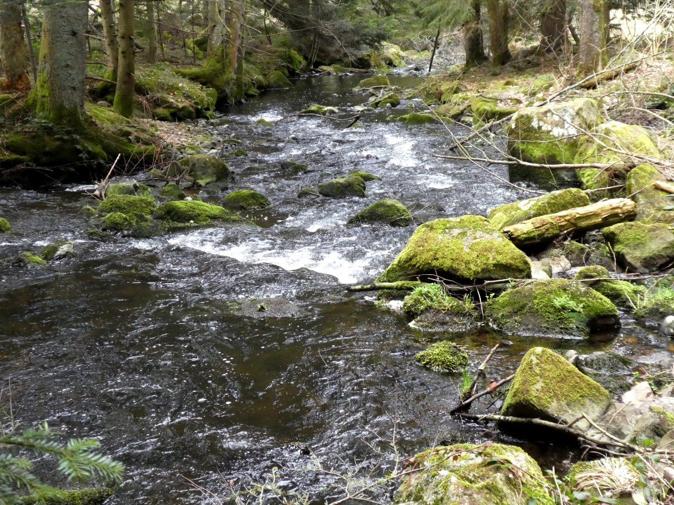 la SemÃ¨ne en aval du pont de la BoÃ«la