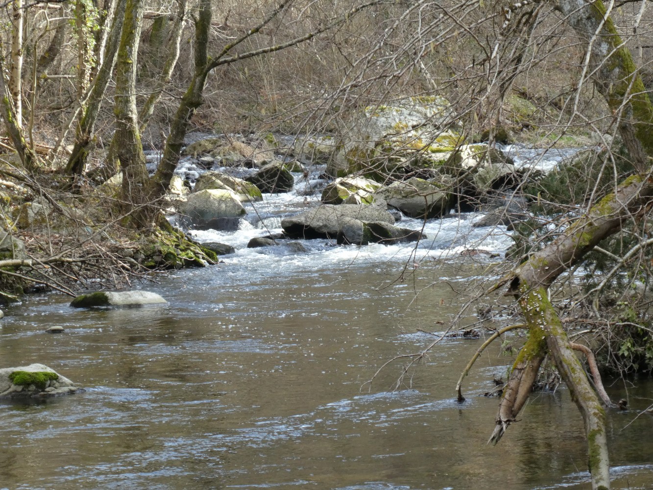 La SemÃ¨ne (seconde descente)