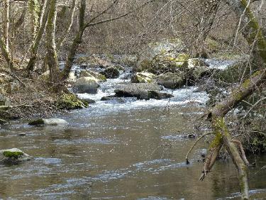 La SemÃ¨ne (seconde descente)
