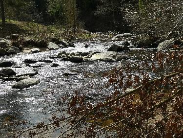 La SemÃ¨ne vers Creux
