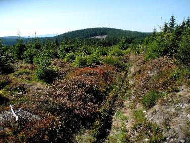 La sente rectiligne vers les Cimes (dans le rÃ©tro)