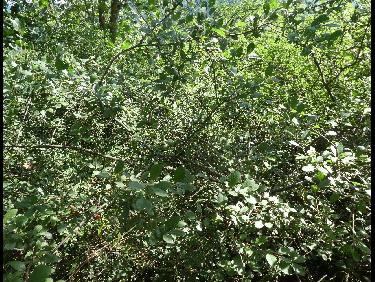 La sortie de l&apos;enfer