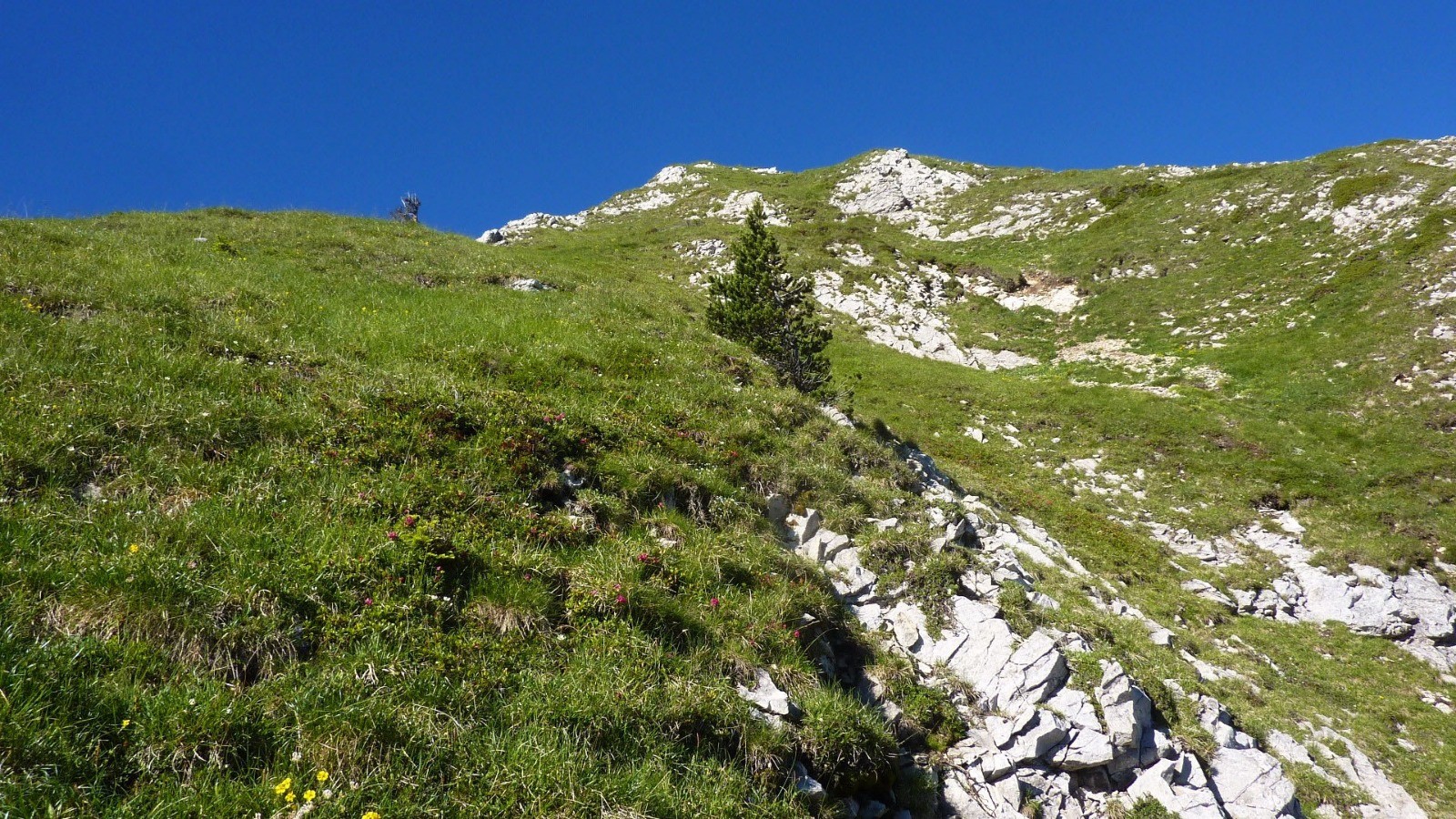 La suite s'annonce encore soutenue