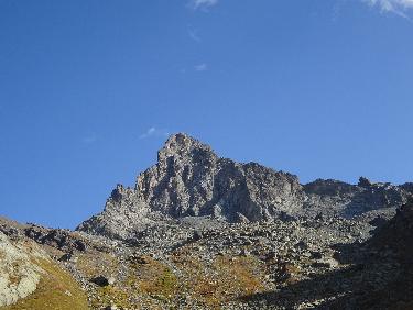 La tÃªte des Toillies