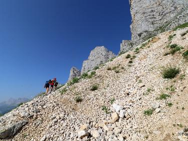La Tune de l&apos;Ours