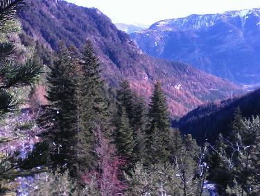 la voiture est restÃ©e tout lÃ -bas , en bas