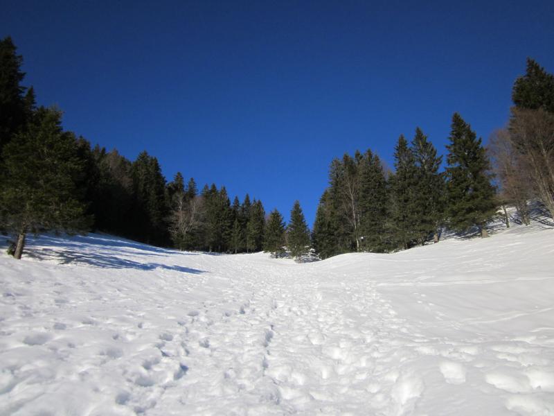 la Cerna